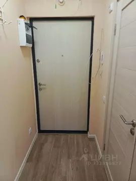 Студия Санкт-Петербург дор. Муринская, 27к2 (21.0 м)