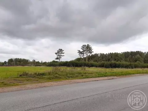 Участок в Ленинградская область, Выборгский район, Красносельское ...