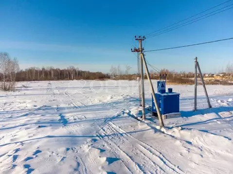Участок в Тюменская область, Нижнетавдинский муниципальный округ, с. ...
