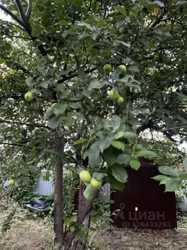 Дом в Челябинская область, Челябинск Локомотив-1 СНТ, ул. 7-я, 38 (15 ...