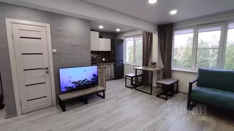 1-к кв. Алтайский край, Белокуриха ул. Братьев Ждановых, 13/1 (33.0 м)