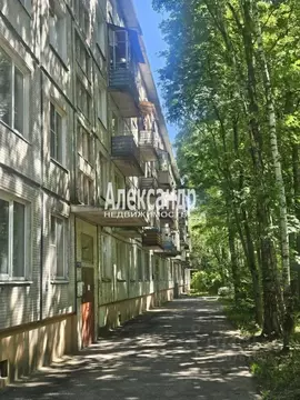 2-к кв. Санкт-Петербург Омская ул., 26 (44.5 м)