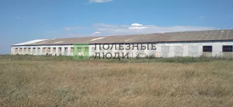 Помещение свободного назначения в Крым, Черноморский район, с. Красная ...