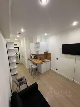 Студия Москва просп. Вернадского, 41С1 (16.4 м)