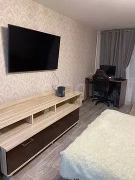 Студия Кировская область, Киров ул. Ленина, 184к3 (39.5 м)