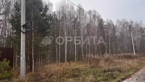 Участок в Тюменская область, Нижнетавдинский муниципальный округ, д. ...