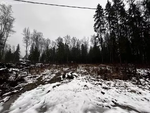 Участок в Московская область, Дмитровский муниципальный округ, посёлок ...