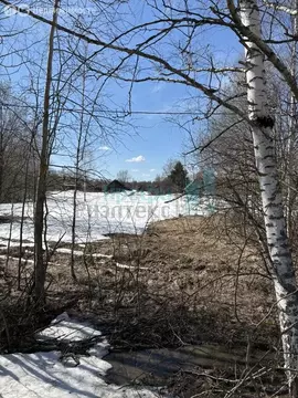 Участок в Нижегородская область, муниципальный округ Бор, деревня ...