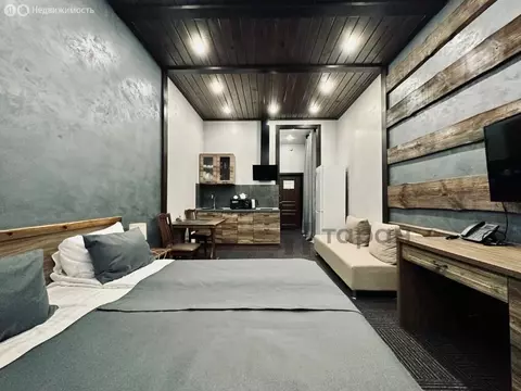 Квартира-студия: село Сыростан, улица Фёдора Конюхова, 3 (35 м)