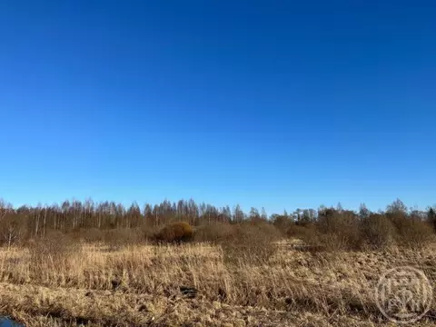 Участок в Псковская область, Новоржев Псковская ул. (100.0 сот.)