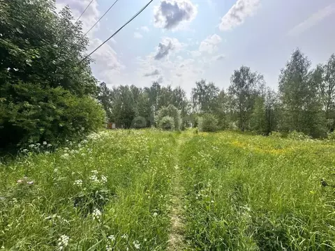 Участок в Владимирская область, Петушинский район, д. Пекша ул. ...