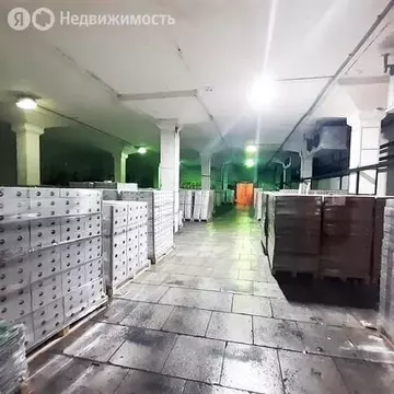 Склад (600 м)