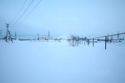 Участок в Ямало-Ненецкий АО, Новый Уренгой Северный Берег ДНТ, 7 (4.76 ...