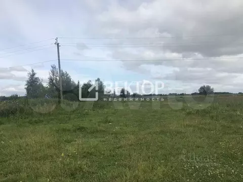 Участок в Костромская область, Костромской район, Шунгенское с/пос, с. ...