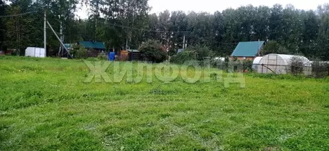 Участок в Новосибирская область, Новосибирский район, Барышевский ...