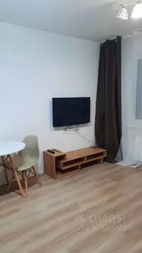 Студия Санкт-Петербург ул. Пахомовская, 16к1 (21.0 м)