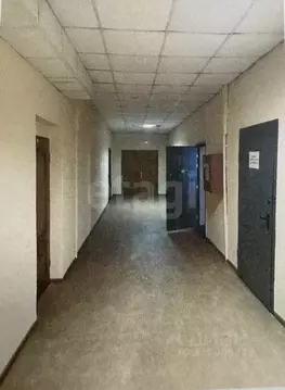 Помещение свободного назначения в Брянская область, Брянск Московский ...