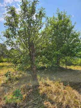 Дом в Московская область, Раменский муниципальный округ, Горка СНТ 266 ...