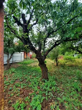 Участок в Ростовская область, Ростов-на-Дону Архитектурная ул., 69 ...