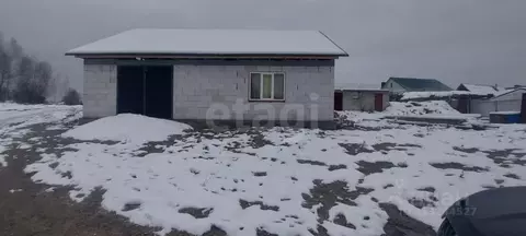 Дом в Брянская область, Брянск Большое Полпино пгт, ул. Чапаева (117 ...