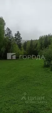 Участок в Алтайский край, Смоленский район, с. Черновая Центральная ...