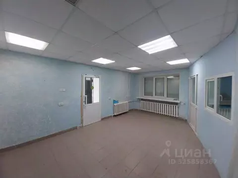 Помещение свободного назначения в Пермский край, Александровск Яйва ...