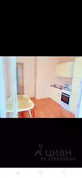 1-к кв. Белгородская область, Белгород ул. Попова, 37Г (33.0 м)