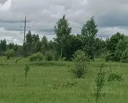Участок в Московская область, Серпухов городской округ, д. Нефедово  ...