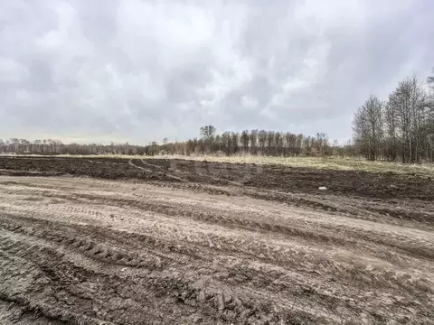 Участок в Новосибирская область, Новосибирский район, Каменский ...