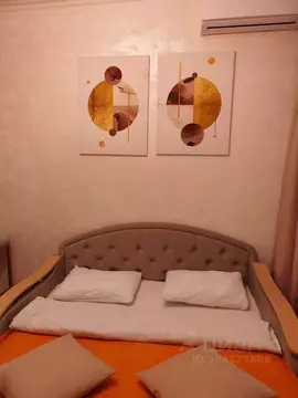 Студия Московская область, Мытищи ул. Колпакова, 44 (23.0 м)