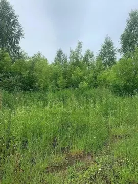 Участок в Калужская область, Дзержинский район, пос. Пятовский ул. ...