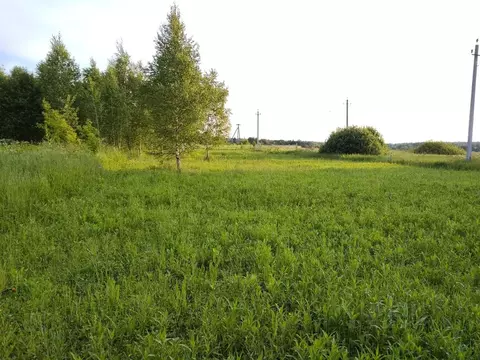 Участок в Калужская область, Жуковский район, с. Тарутино Совхозная ...