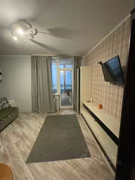 Студия Санкт-Петербург просп. Александровской фермы, 8 (24.4 м)