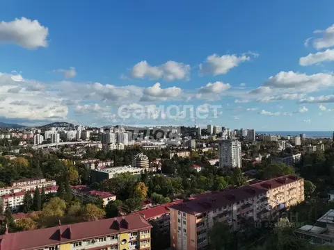 Помещение свободного назначения в Краснодарский край, Сочи Виноградная ...