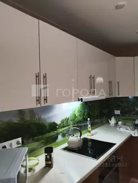 2-к кв. Новосибирская область, Новосибирск Кубовая ул., 53 (47.3 м)