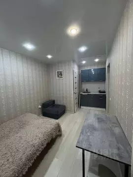 Студия Татарстан, Казань Поперечно-Базарная ул., 57 (28.0 м)