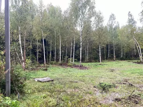 Участок в Московская область, Мытищи городской округ, с. Марфино  ...