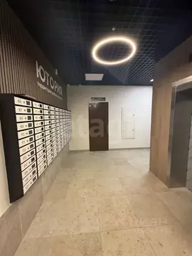 Студия Брянская область, Брянск Степная ул., 2Г (27.1 м)