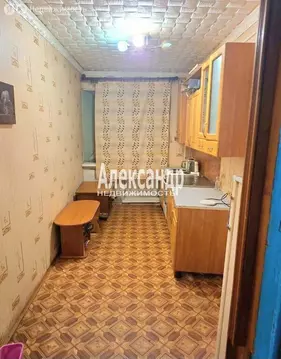 1к в 15-комнатной квартире (12.9 м)