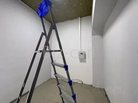 Офис в Санкт-Петербург ул. Типанова, 23с1 (51 м)