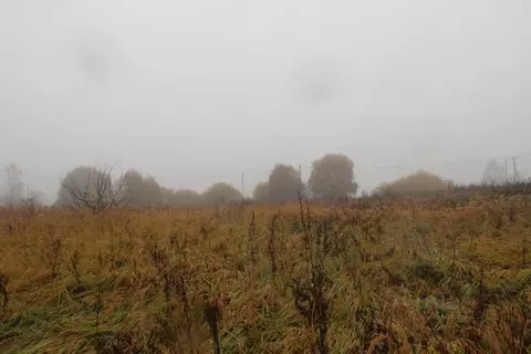 Участок в Московская область, Шаховская муниципальный округ, д. ...