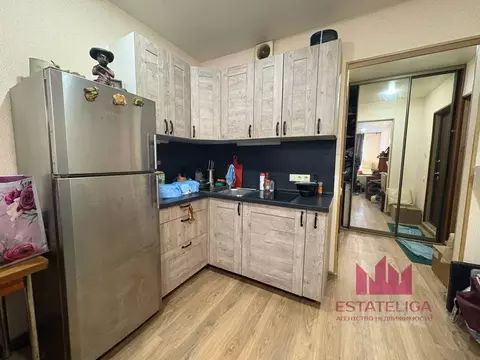 Студия Московская область, Ленинский городской округ, Лопатино пгт ул. ...