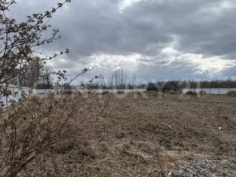 Участок в Ленинградская область, Тосненский район, Любанское городское ...