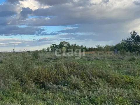 Участок в Амурская область, Благовещенск  (55000.0 сот.)