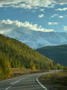 Участок в Алтай, Майминский район, с. Кызыл-Озек Солнечная ул. (11.0 ...