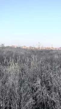 Участок в Краснодарский край, Краснодар Пригородная ул., 1 (3.02 сот.)