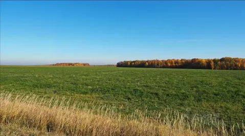 Участок в Нижегородская область, Сокольский муниципальный округ, д. ...