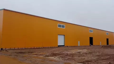 Склад в Ленинградская область, Всеволожский район, д. Новое Девяткино ...