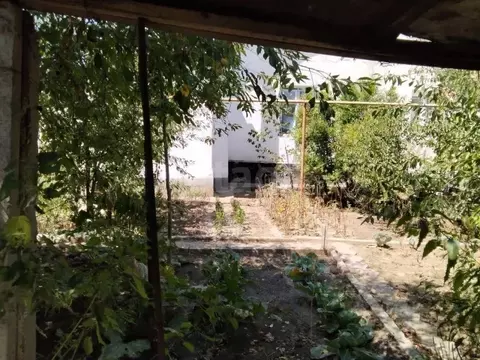 Дом в Крым, Бахчисарайский район, с. Каштаны ул. Стрельникова, 5 (47 ...