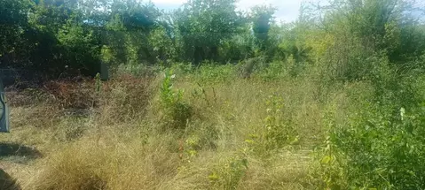 Участок в Адыгея, Майкоп пл. Ленина (4.0 сот.)